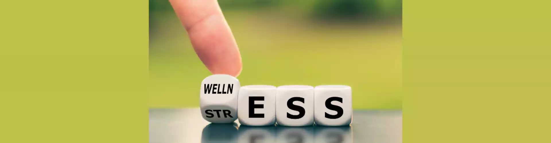 Stress abbauen und erfolgreich sein - Online Class by Avital Miller