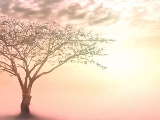 विगत जीवन उपचार: ध्यान और ऊर्जा तकनीक