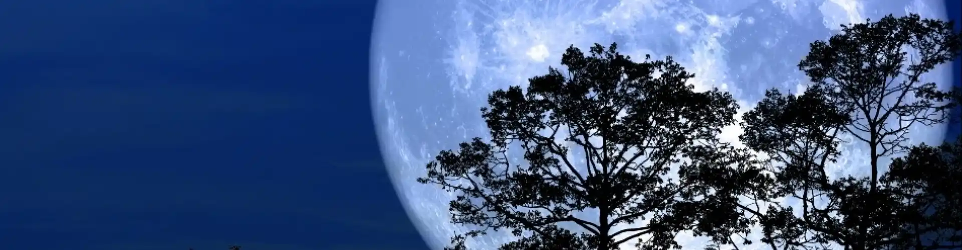 Full Moon Meditation - Online Class by Cassaundra Paolini