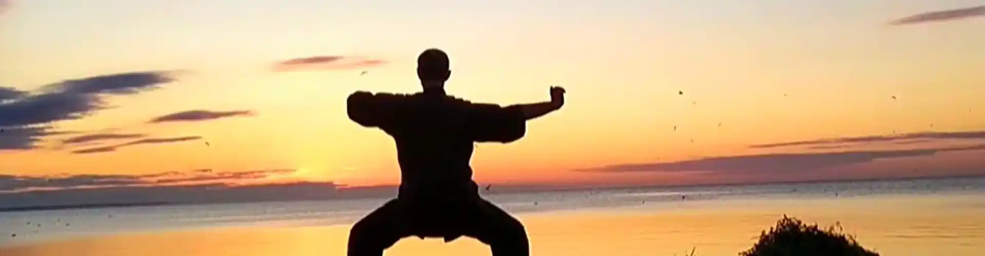 8 İpek Brokar ile 1 saatlik Qigong